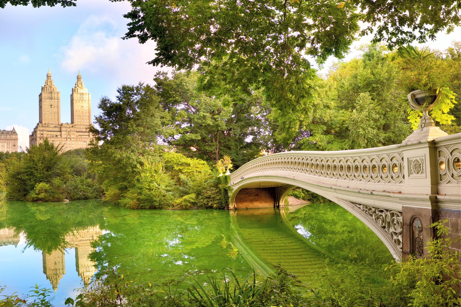 Central Park panorama with Bow Bridge, New York City